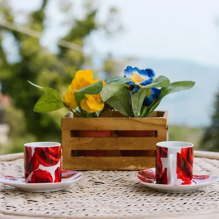 Vila Ονειρόπετρα Synikia Mesi Trikalon Exteriér fotografie