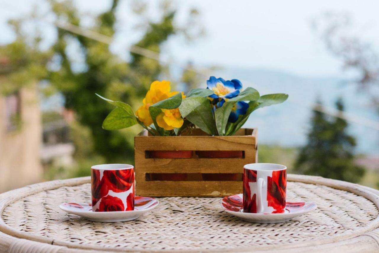 ονειρόπετρα Holiday home